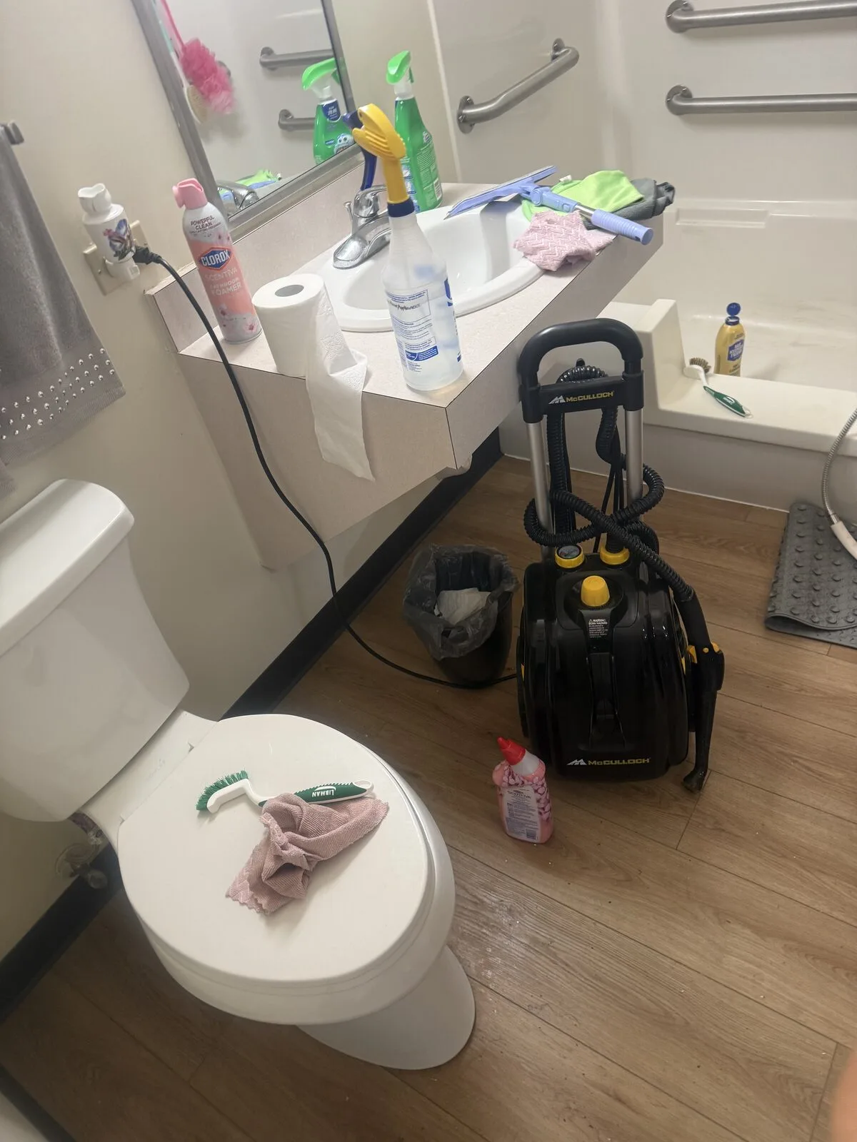 Bathroom during a Clean & Classy visit: toilet, vanity and steamer still out