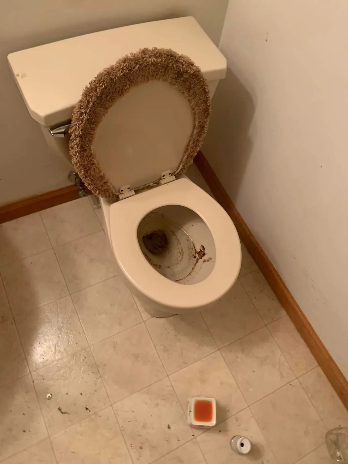 Stained toilet bowl before a sanitizing treatment