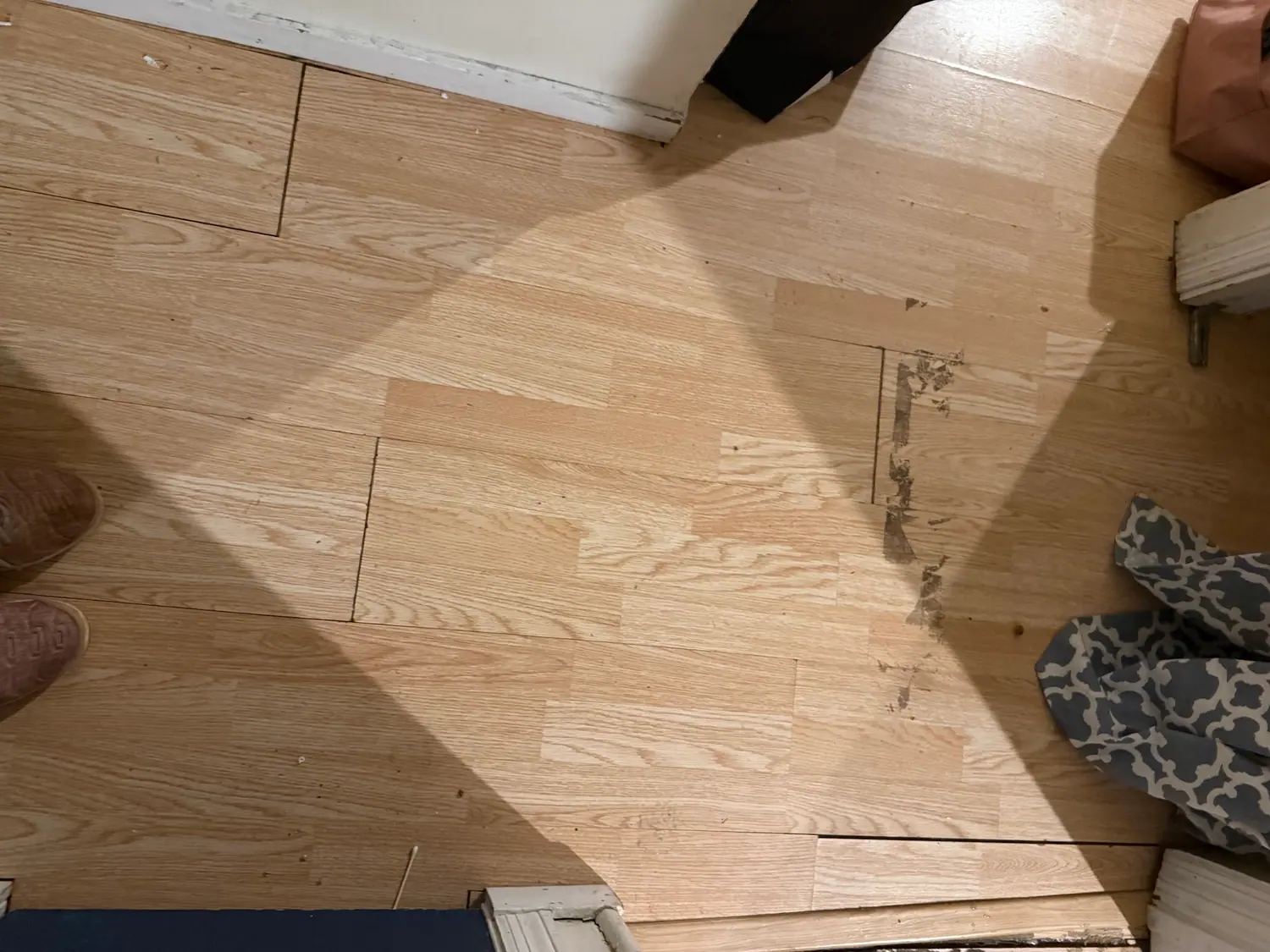 Hardwood floor cleaned and buffed in a bright room